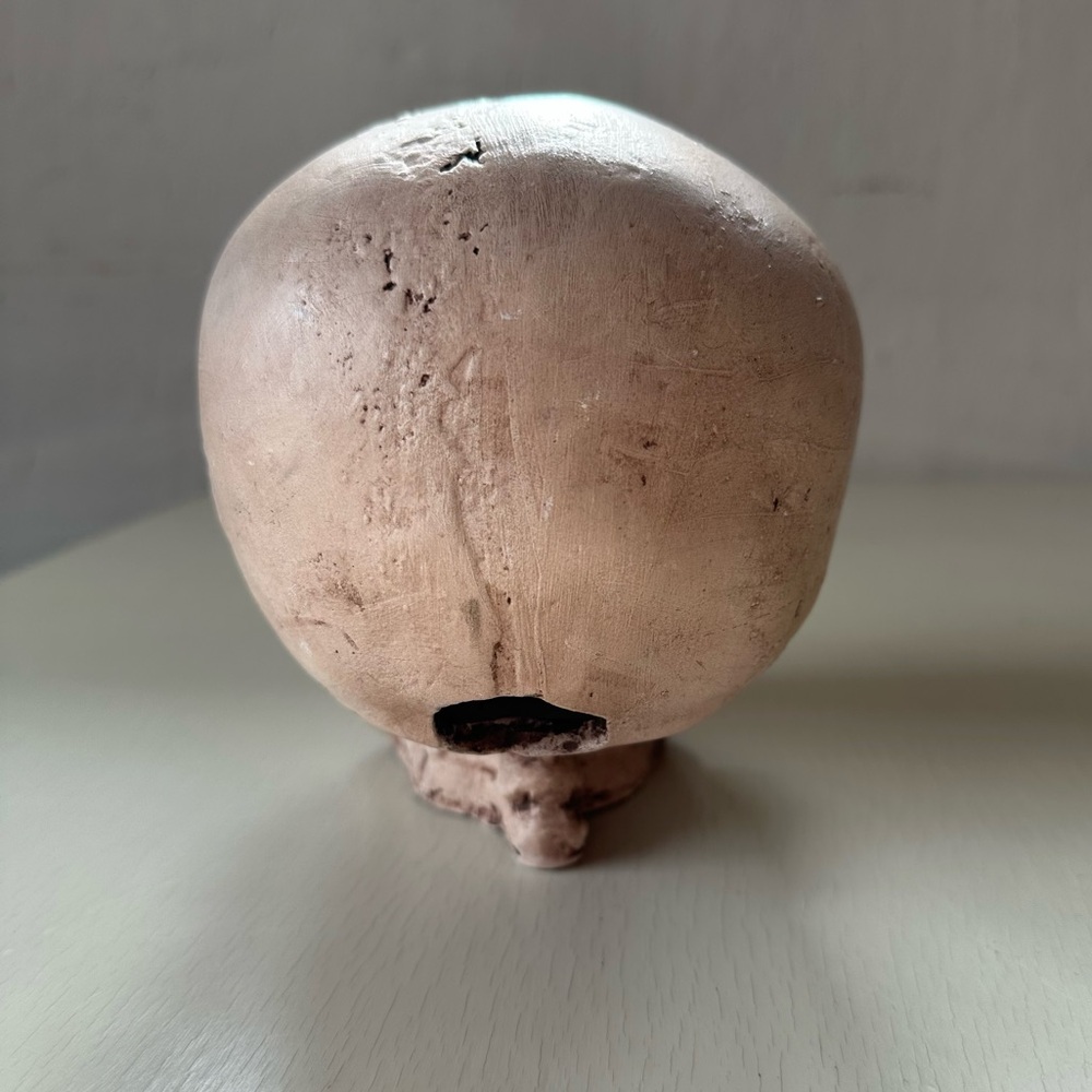 Memento Mori Ceramic Skull - Gothic Home Decor Goth Dark - Picture 3 of 9